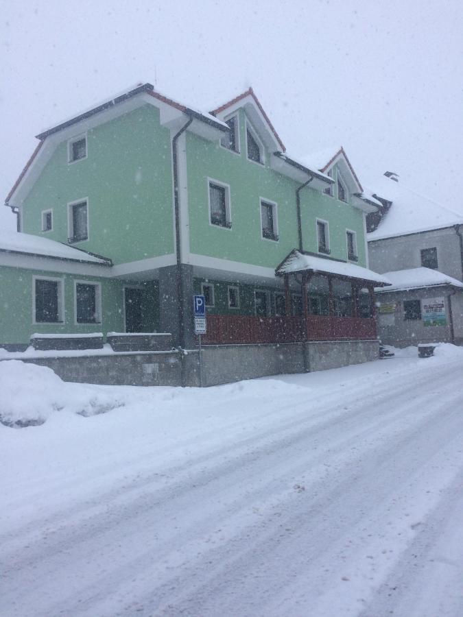 Penzion U Pesku Horní Planá 외부 사진